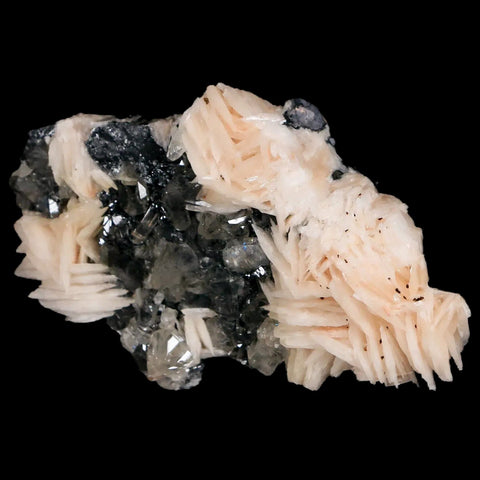 2.8" White Barite Blades, Cerussite Crystals, Galena Crystal Mineral Mabladen Morocco - Fossil Age Minerals