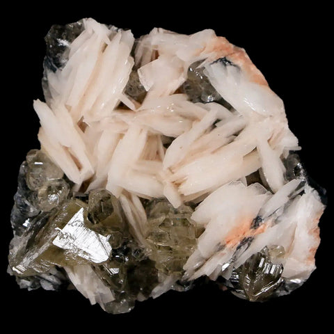 1.8" White Barite Blades, Cerussite Crystals, Galena Crystal Mineral Mabladen Morocco - Fossil Age Minerals