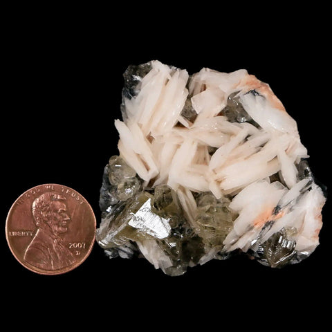 1.8" White Barite Blades, Cerussite Crystals, Galena Crystal Mineral Mabladen Morocco - Fossil Age Minerals