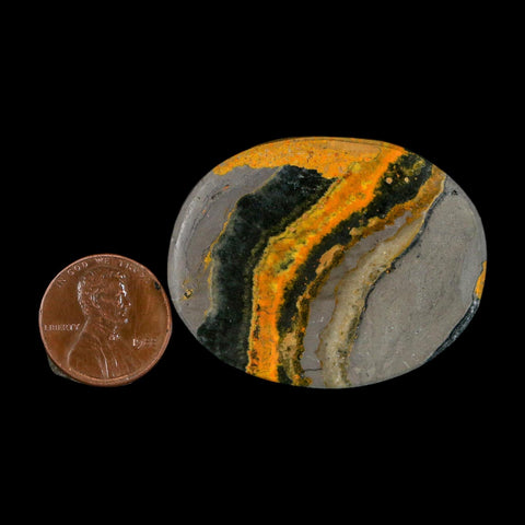 1.8" Bumblebee Jasper Natural Polished Mineral Palm Stone Java Indonesia
