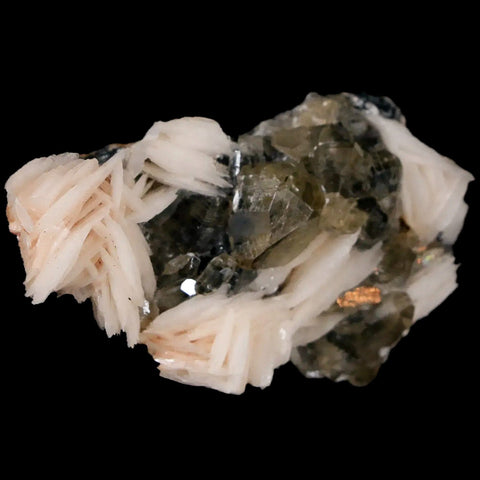 2.2" White Barite Blades, Cerussite Crystals, Galena Crystal Mineral Mabladen Morocco - Fossil Age Minerals