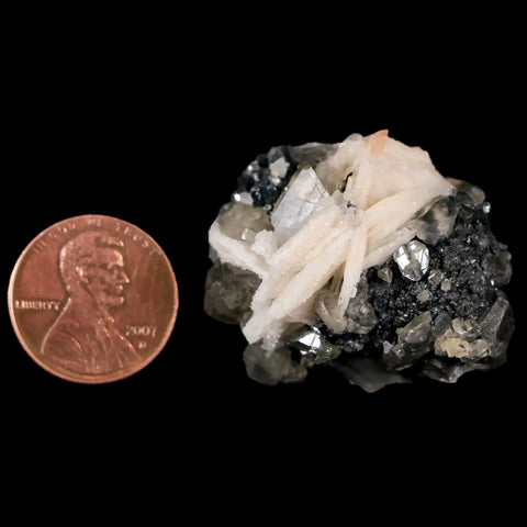 1.4" White Barite Blades, Cerussite Crystals, Galena Crystal Mineral Mabladen Morocco - Fossil Age Minerals