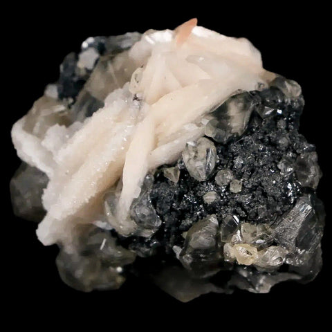 1.4" White Barite Blades, Cerussite Crystals, Galena Crystal Mineral Mabladen Morocco - Fossil Age Minerals