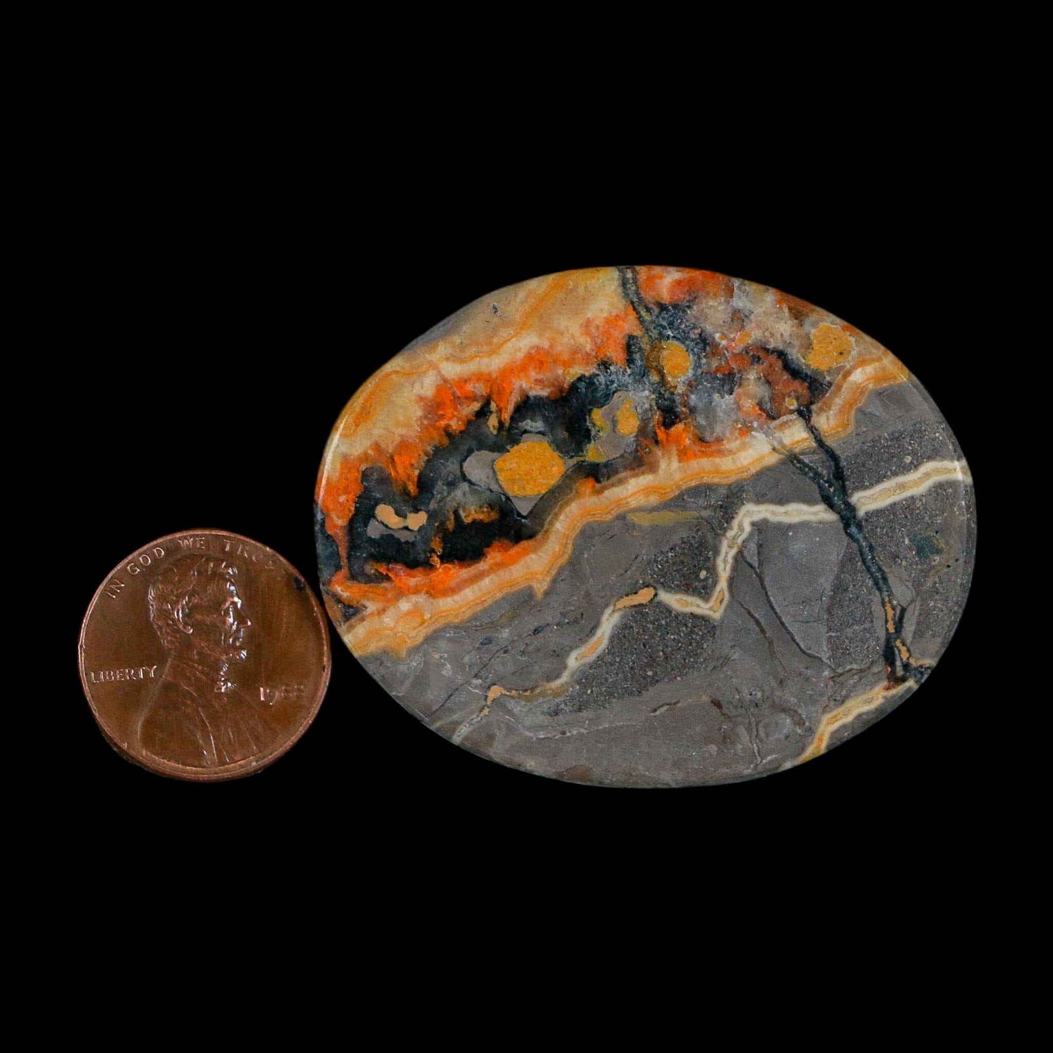 1.9" Bumblebee Jasper Natural Polished Mineral Palm Stone Java Indonesia - Fossil Age Minerals