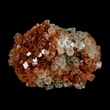 2.3" Aragonite Mineral Two Tone Crystal Cluster Specimen Tazouta Morocco
