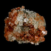 2.3" Aragonite Mineral Two Tone Crystal Cluster Specimen Tazouta Morocco