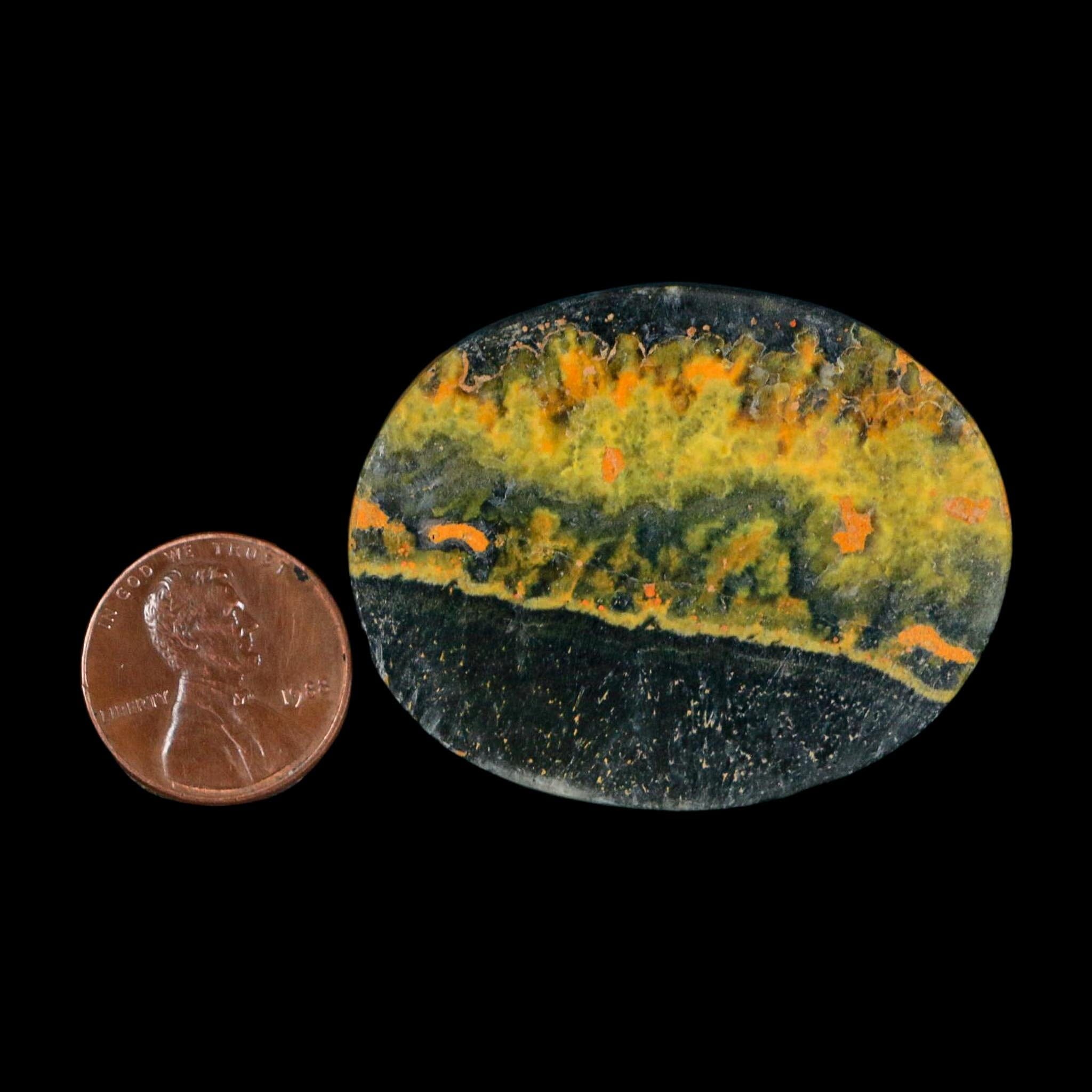 1.8" Bumblebee Jasper Natural Polished Mineral Palm Stone Java Indonesia - Fossil Age Minerals