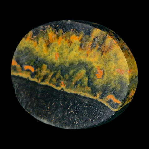 1.8" Bumblebee Jasper Natural Polished Mineral Palm Stone Java Indonesia