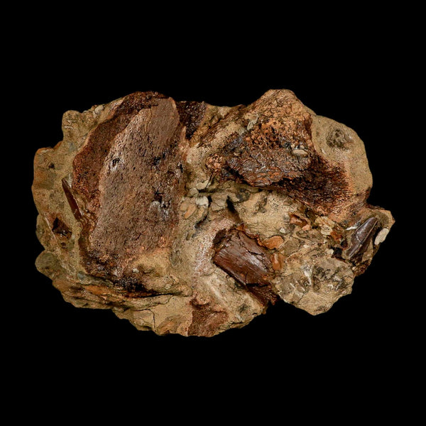 5.6