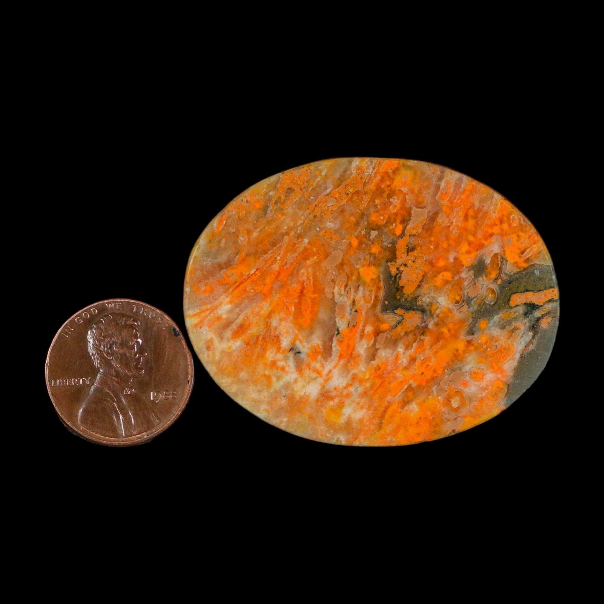 1.9" Bumblebee Jasper Natural Polished Mineral Palm Stone Java Indonesia - Fossil Age Minerals