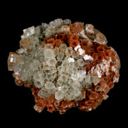 2.1" Aragonite Mineral Two Tone Crystal Cluster Specimen Tazouta Morocco