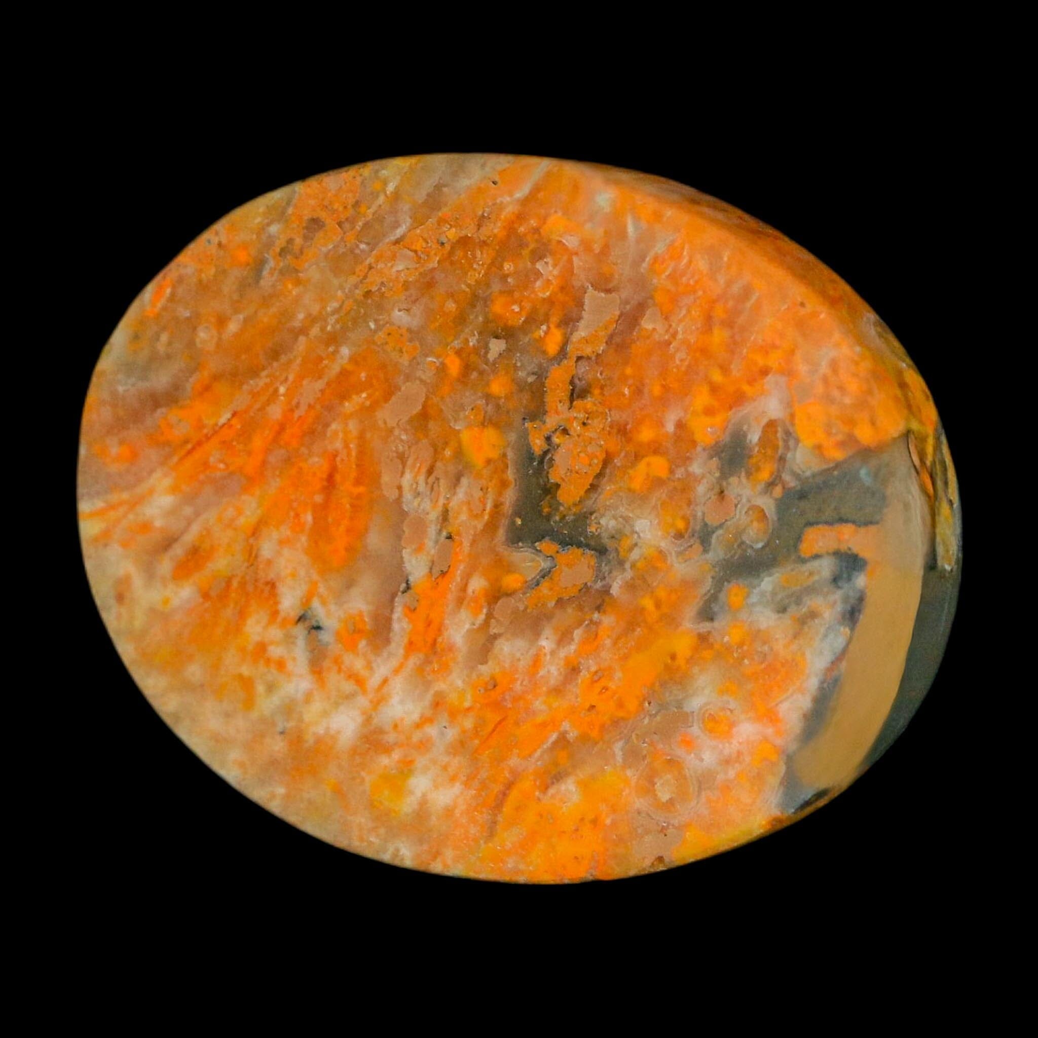 1.9" Bumblebee Jasper Natural Polished Mineral Palm Stone Java Indonesia - Fossil Age Minerals