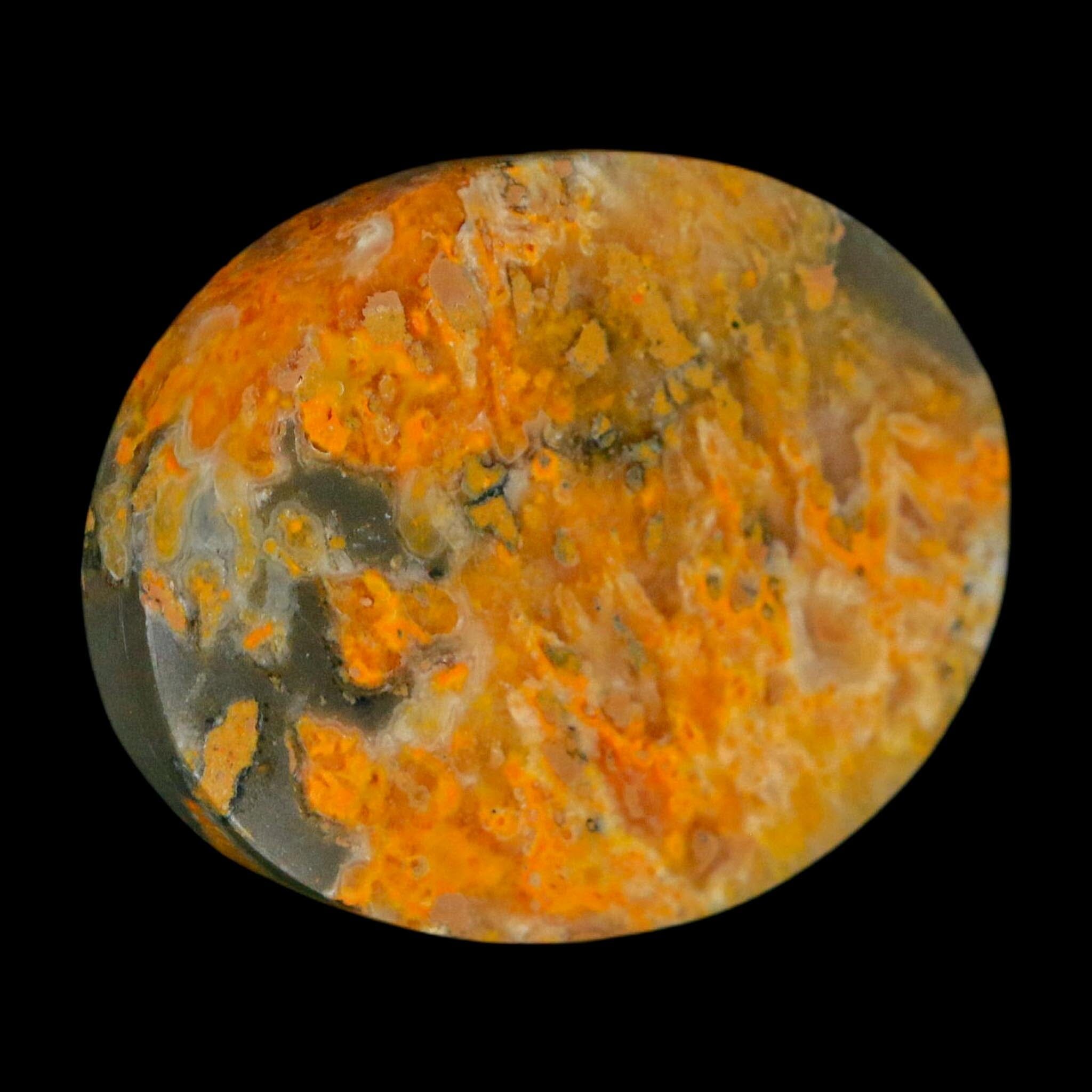 1.9" Bumblebee Jasper Natural Polished Mineral Palm Stone Java Indonesia - Fossil Age Minerals
