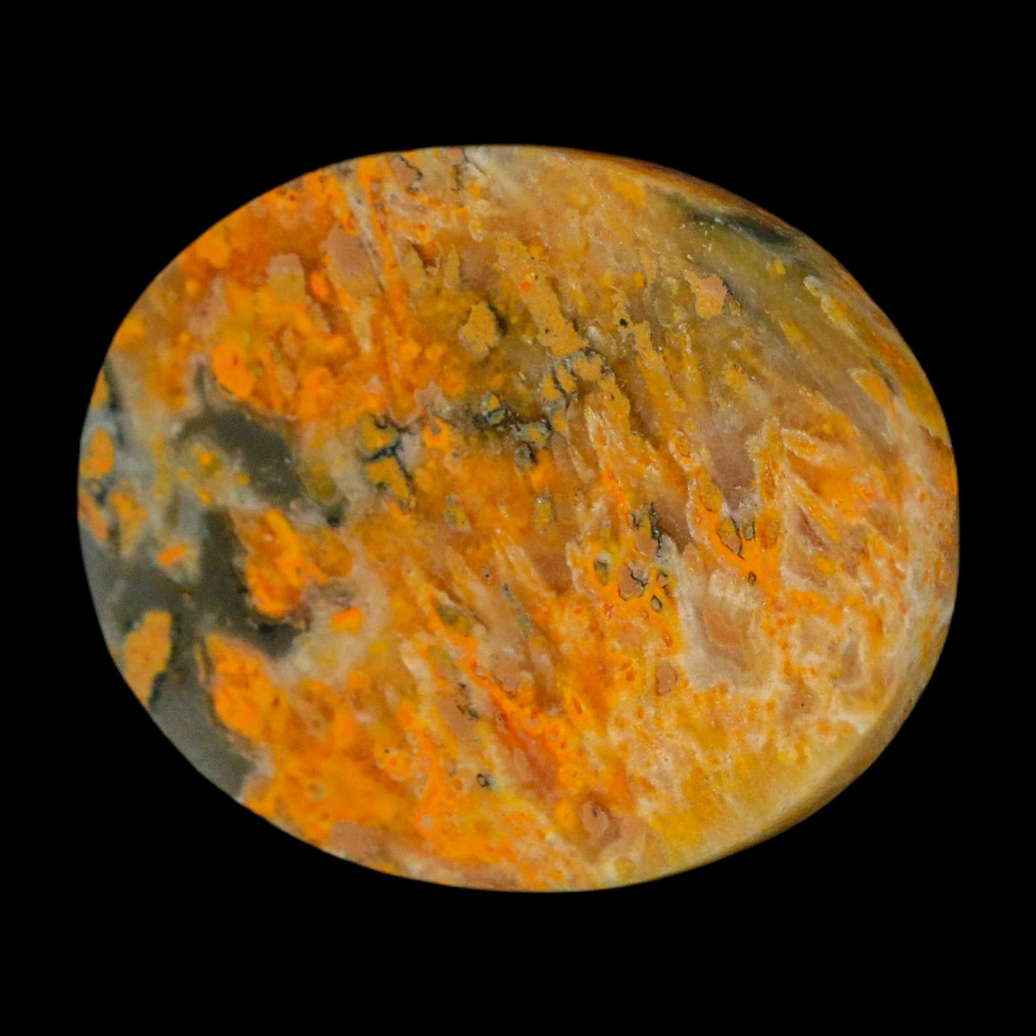 1.9" Bumblebee Jasper Natural Polished Mineral Palm Stone Java Indonesia - Fossil Age Minerals