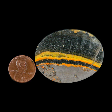 1.9" Bumblebee Jasper Natural Polished Mineral Palm Stone Java Indonesia