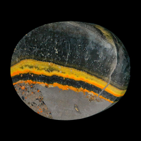 1.9" Bumblebee Jasper Natural Polished Mineral Palm Stone Java Indonesia