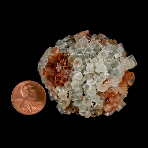 2" Aragonite Mineral Two Tone Crystal Cluster Specimen Tazouta Morocco - Fossil Age Minerals