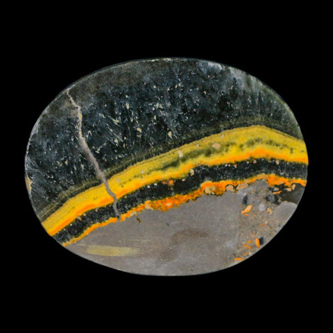 1.9" Bumblebee Jasper Natural Polished Mineral Palm Stone Java Indonesia