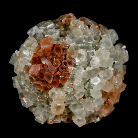 2" Aragonite Mineral Two Tone Crystal Cluster Specimen Tazouta Morocco