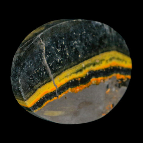 1.9" Bumblebee Jasper Natural Polished Mineral Palm Stone Java Indonesia