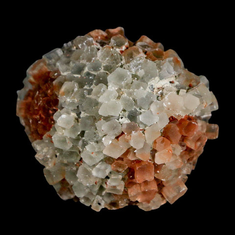 2" Aragonite Mineral Two Tone Crystal Cluster Specimen Tazouta Morocco - Fossil Age Minerals