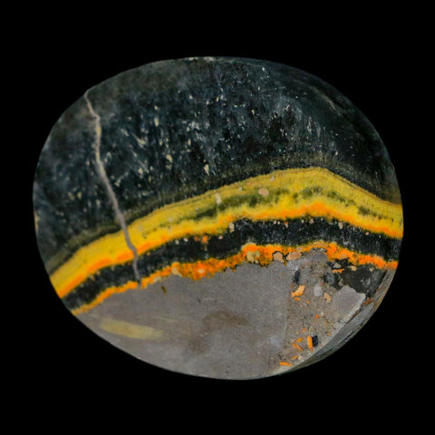1.9" Bumblebee Jasper Natural Polished Mineral Palm Stone Java Indonesia