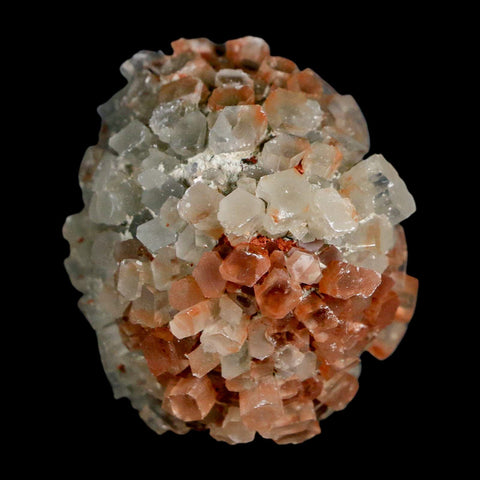 2" Aragonite Mineral Two Tone Crystal Cluster Specimen Tazouta Morocco - Fossil Age Minerals