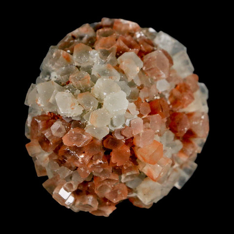 2" Aragonite Mineral Two Tone Crystal Cluster Specimen Tazouta Morocco - Fossil Age Minerals