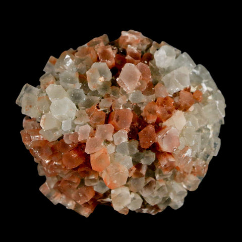 2" Aragonite Mineral Two Tone Crystal Cluster Specimen Tazouta Morocco - Fossil Age Minerals