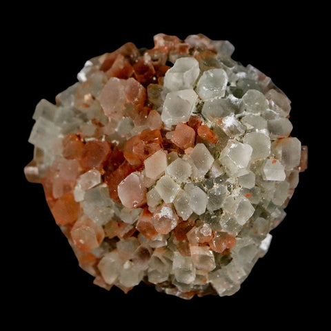 2" Aragonite Mineral Two Tone Crystal Cluster Specimen Tazouta Morocco - Fossil Age Minerals