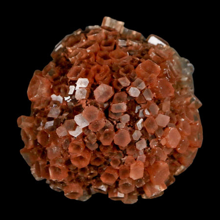 1.8" Aragonite Mineral Two Tone Crystal Cluster Specimen Tazouta Morocco