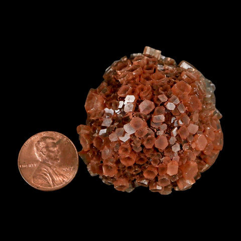 1.8" Aragonite Mineral Two Tone Crystal Cluster Specimen Tazouta Morocco - Fossil Age Minerals