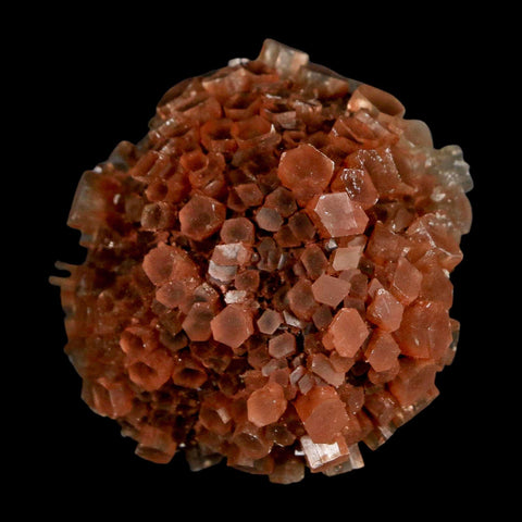 1.8" Aragonite Mineral Two Tone Crystal Cluster Specimen Tazouta Morocco - Fossil Age Minerals
