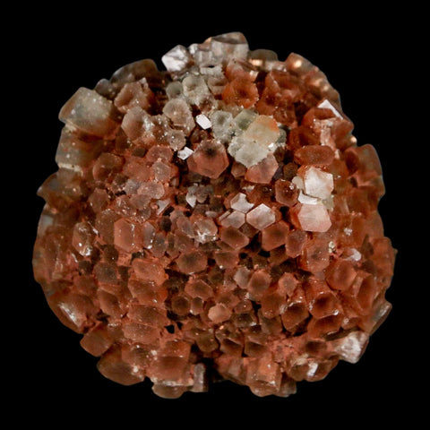1.8" Aragonite Mineral Two Tone Crystal Cluster Specimen Tazouta Morocco - Fossil Age Minerals