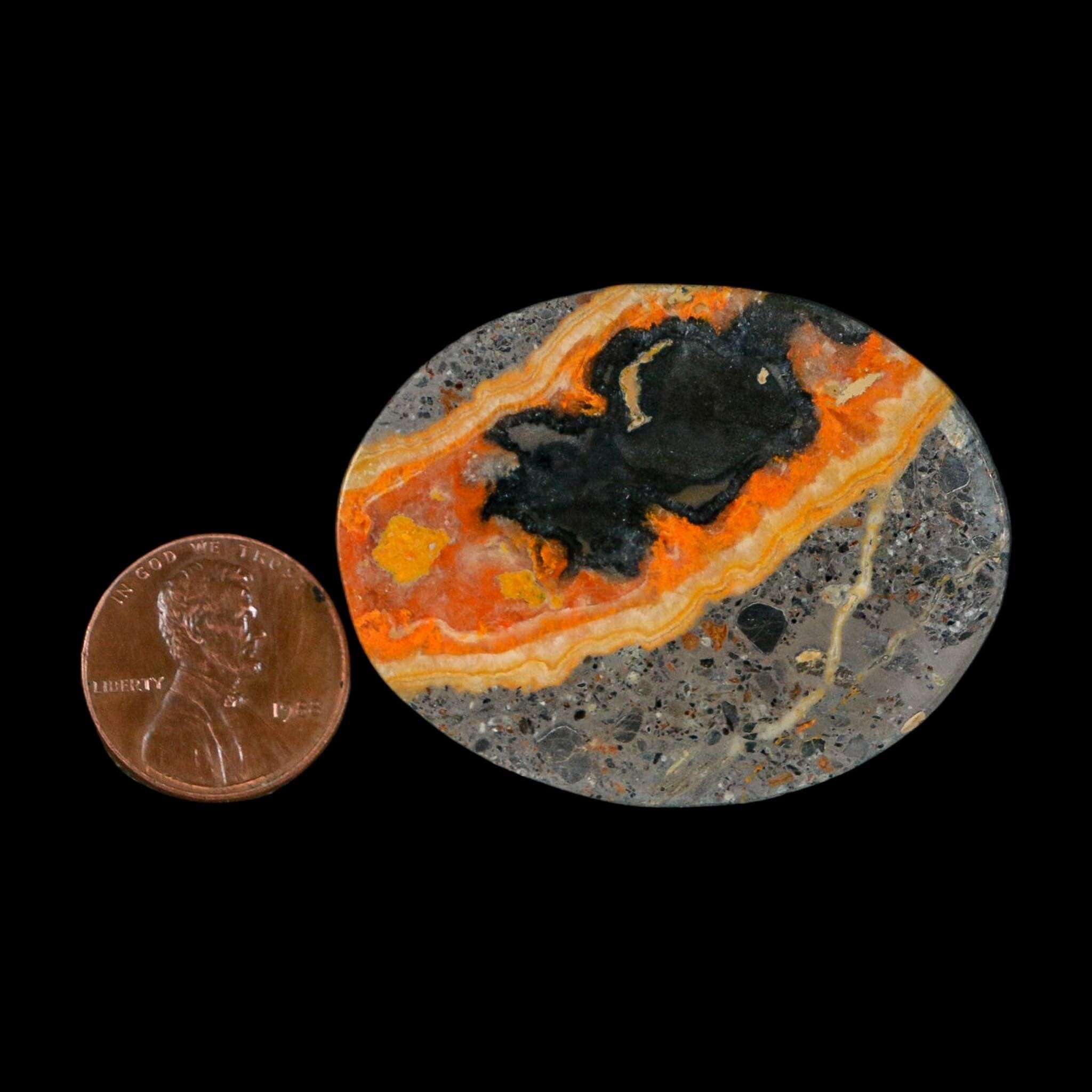 1.8" Bumblebee Jasper Natural Polished Mineral Palm Stone Java Indonesia - Fossil Age Minerals