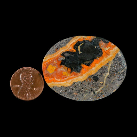 1.8" Bumblebee Jasper Natural Polished Mineral Palm Stone Java Indonesia