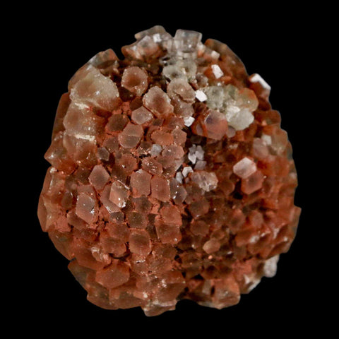 1.8" Aragonite Mineral Two Tone Crystal Cluster Specimen Tazouta Morocco - Fossil Age Minerals