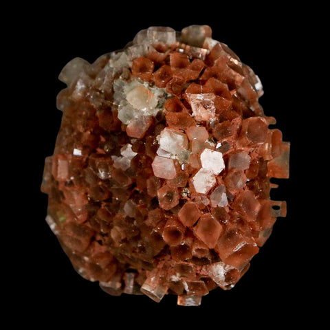1.8" Aragonite Mineral Two Tone Crystal Cluster Specimen Tazouta Morocco - Fossil Age Minerals