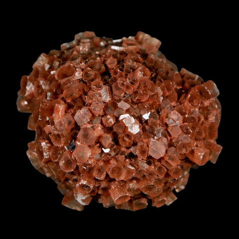 2" Aragonite Mineral Red Crystal Cluster Specimen Tazouta Morocco - Fossil Age Minerals