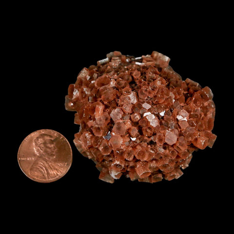 2" Aragonite Mineral Red Crystal Cluster Specimen Tazouta Morocco - Fossil Age Minerals