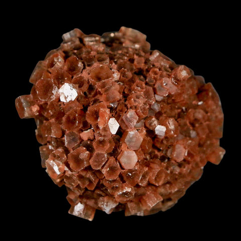 2" Aragonite Mineral Red Crystal Cluster Specimen Tazouta Morocco - Fossil Age Minerals