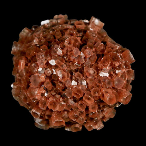 2" Aragonite Mineral Red Crystal Cluster Specimen Tazouta Morocco - Fossil Age Minerals
