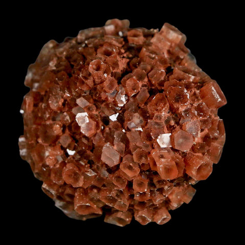 2" Aragonite Mineral Red Crystal Cluster Specimen Tazouta Morocco - Fossil Age Minerals
