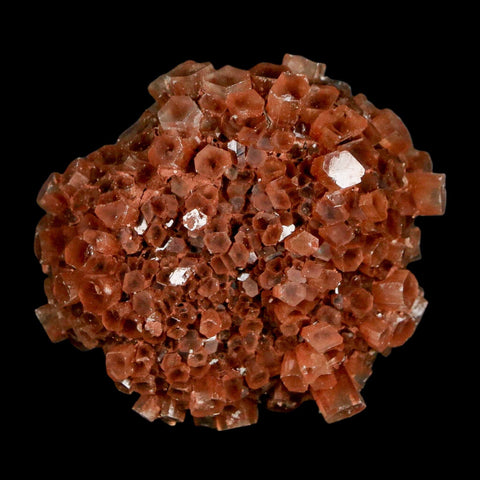 2" Aragonite Mineral Red Crystal Cluster Specimen Tazouta Morocco - Fossil Age Minerals