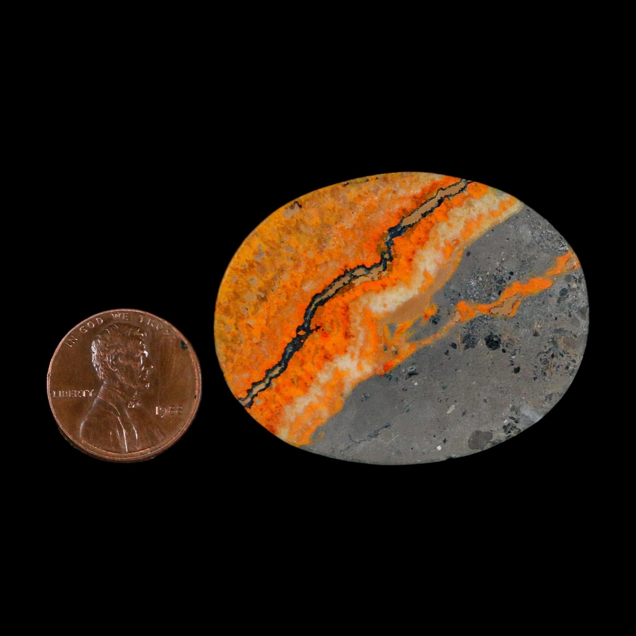 1.8" Bumblebee Jasper Natural Polished Mineral Palm Stone Java Indonesia - Fossil Age Minerals