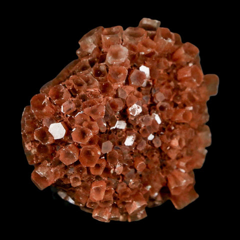 2" Aragonite Mineral Red Crystal Cluster Specimen Tazouta Morocco - Fossil Age Minerals