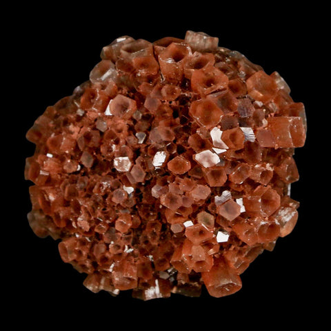 2" Aragonite Mineral Red Crystal Cluster Specimen Tazouta Morocco - Fossil Age Minerals