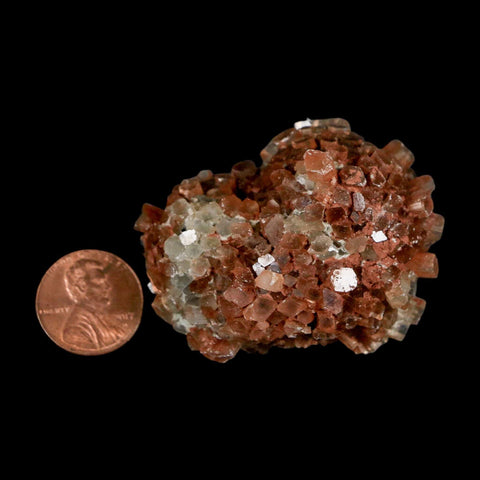 2.1" Aragonite Mineral Two Tone Crystal Cluster Specimen Tazouta Morocco - Fossil Age Minerals