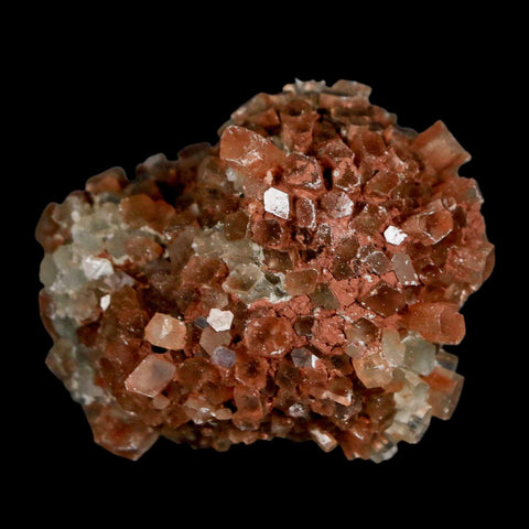 2.1" Aragonite Mineral Two Tone Crystal Cluster Specimen Tazouta Morocco - Fossil Age Minerals