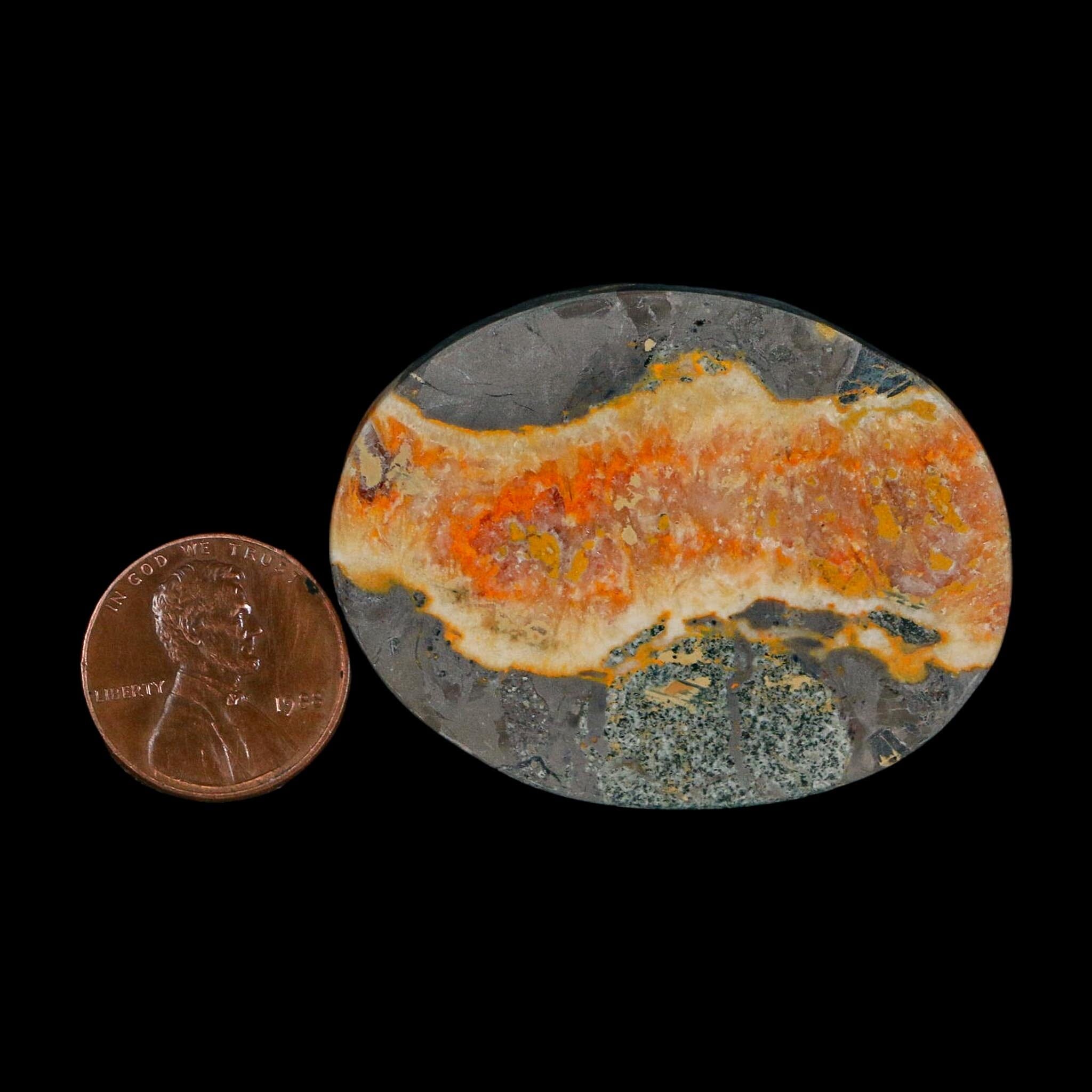 1.9" Bumblebee Jasper Natural Polished Mineral Palm Stone Java Indonesia - Fossil Age Minerals